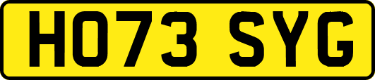 HO73SYG