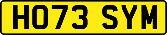 HO73SYM