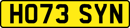 HO73SYN