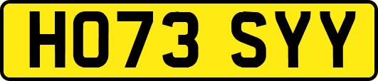 HO73SYY