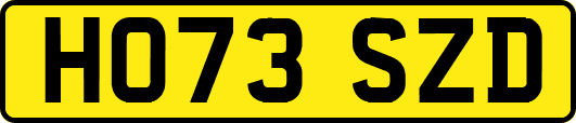 HO73SZD