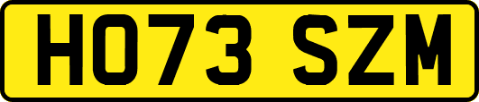 HO73SZM
