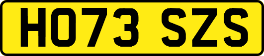 HO73SZS