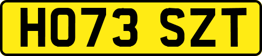 HO73SZT