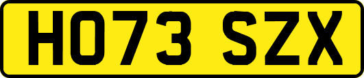 HO73SZX