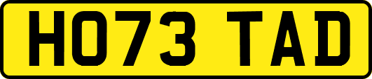 HO73TAD