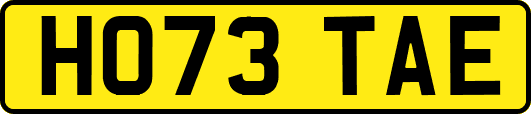 HO73TAE