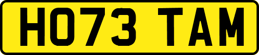 HO73TAM