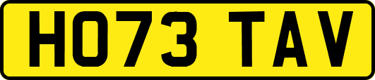 HO73TAV