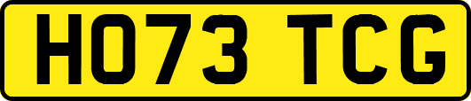 HO73TCG