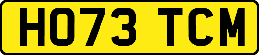 HO73TCM