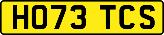 HO73TCS