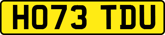 HO73TDU