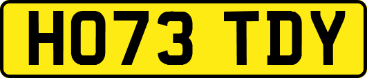 HO73TDY