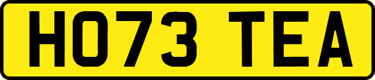 HO73TEA