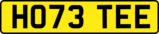 HO73TEE