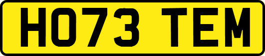 HO73TEM