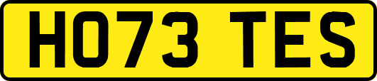 HO73TES