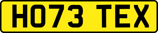 HO73TEX