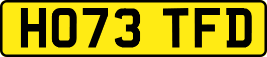 HO73TFD