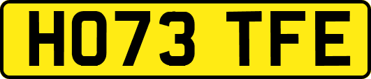 HO73TFE