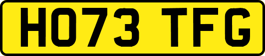 HO73TFG
