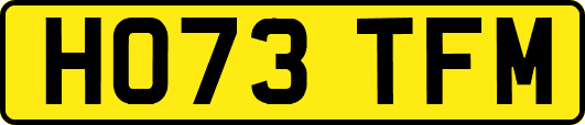 HO73TFM