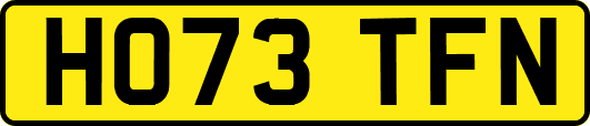 HO73TFN