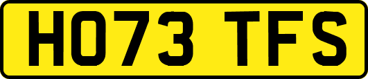 HO73TFS