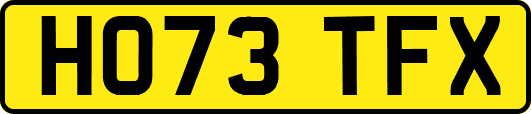 HO73TFX