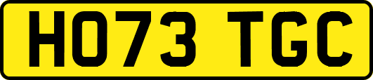 HO73TGC