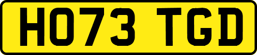 HO73TGD