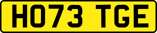 HO73TGE