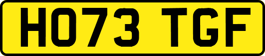 HO73TGF