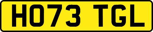HO73TGL
