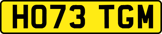 HO73TGM