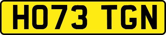 HO73TGN