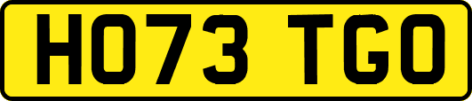 HO73TGO