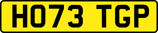HO73TGP