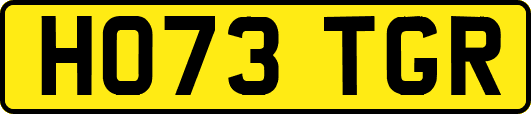 HO73TGR