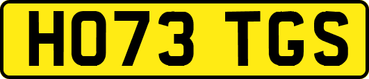 HO73TGS