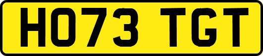 HO73TGT