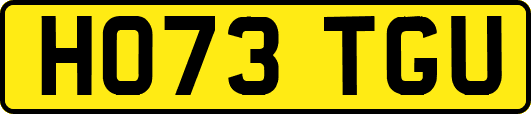 HO73TGU