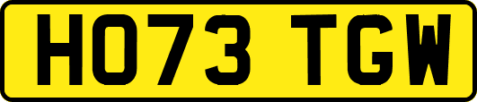 HO73TGW