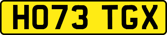 HO73TGX