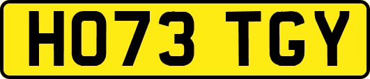 HO73TGY