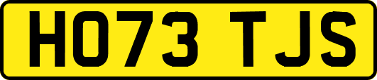 HO73TJS