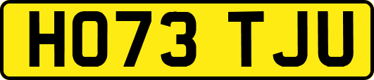 HO73TJU