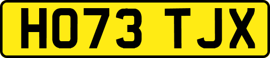 HO73TJX