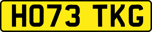 HO73TKG